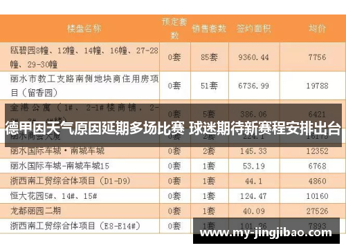 德甲因天气原因延期多场比赛 球迷期待新赛程安排出台