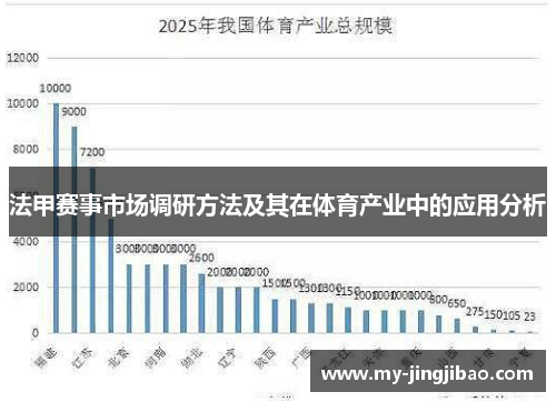 法甲赛事市场调研方法及其在体育产业中的应用分析