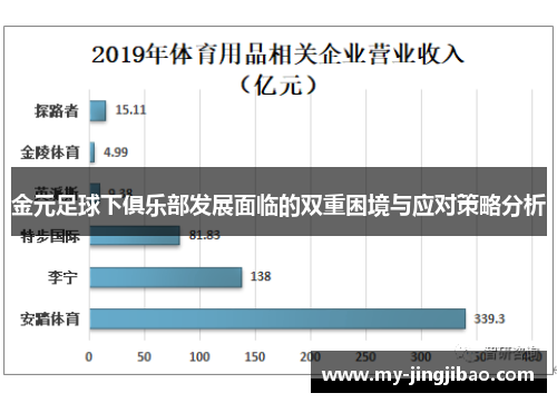 金元足球下俱乐部发展面临的双重困境与应对策略分析