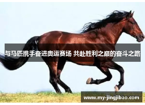与马匹携手奋进奥运赛场 共赴胜利之巅的奋斗之路