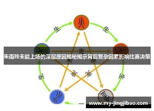 朱雨玲未能上场的深层原因揭秘揭示背后复杂因素影响比赛决策